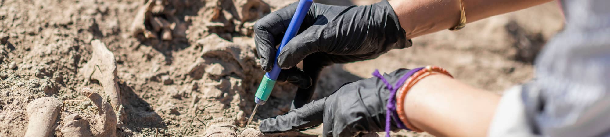Archaeologist working at Chester dig site